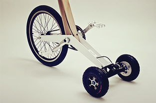 我們都是自行車,比蘭博基尼還拉風(fēng)