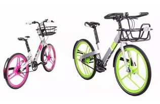 上海街頭12款共享單車大比拼 哪個是你的菜