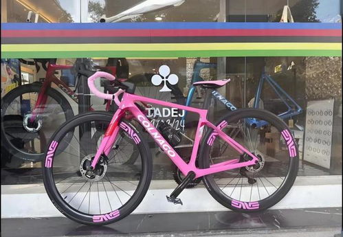 2025自行車行業報告 崔克是高檔次的品牌嗎閃電捷安特性價比